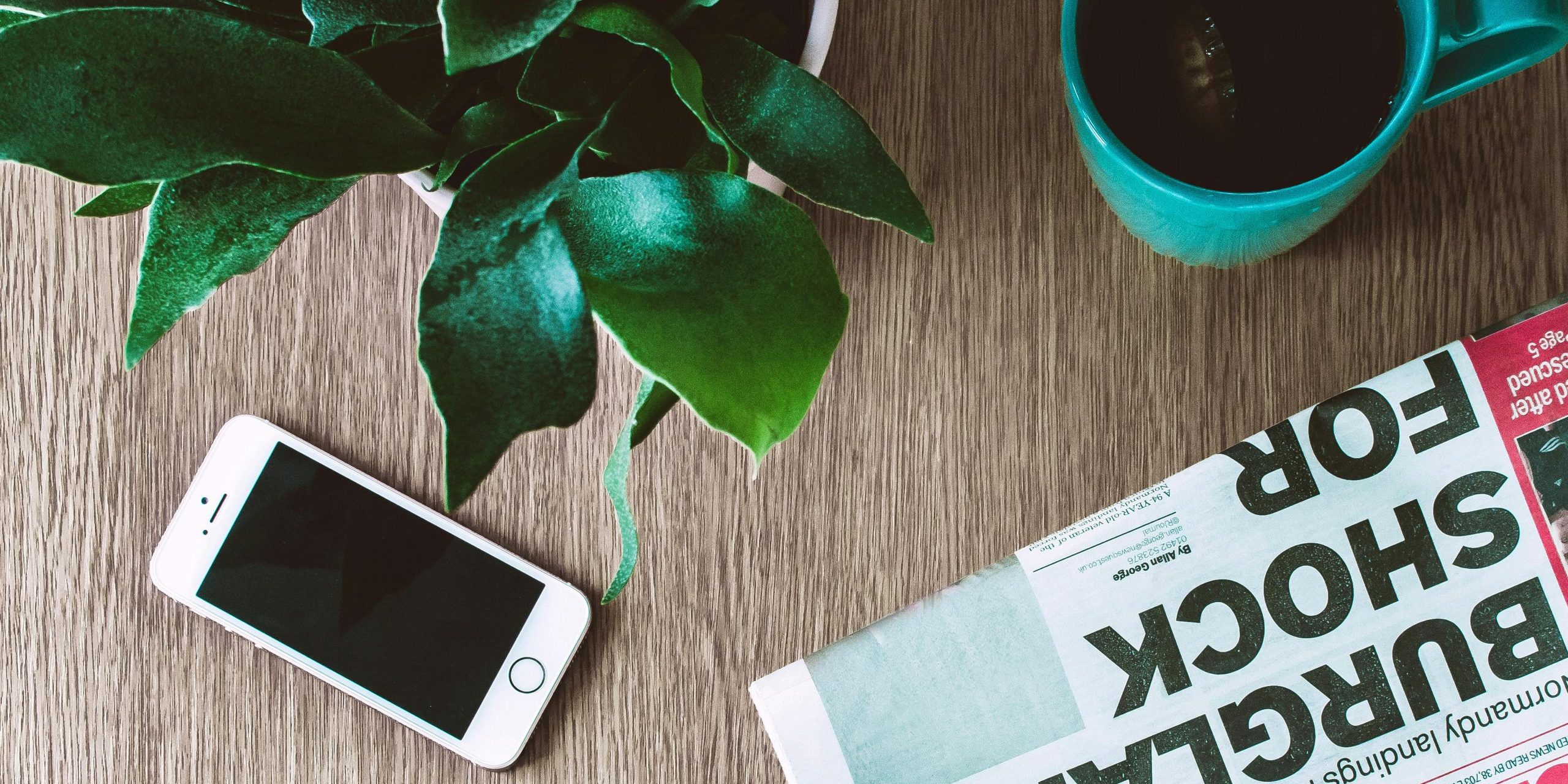 pexels-fotios-photos-1369476